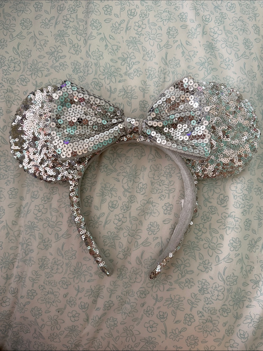 Minnie Mouse Ears